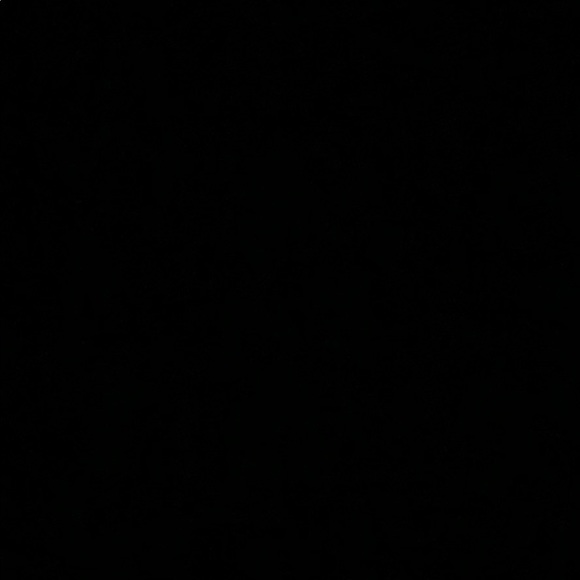 Meet your Posher, Allie - Picture 1 of 1